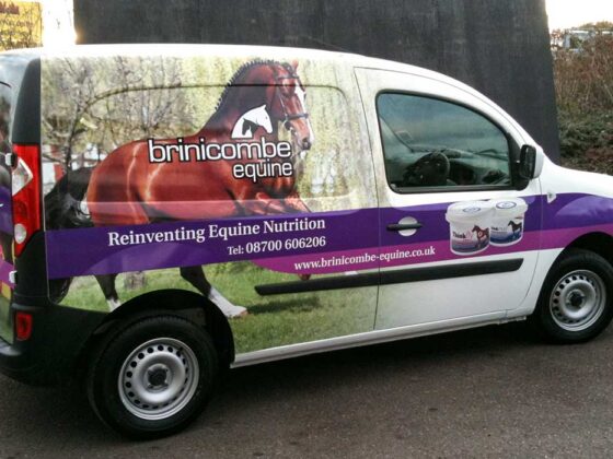 Vehicle Graphics: small van