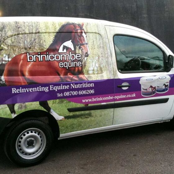 Vehicle Graphics: small van